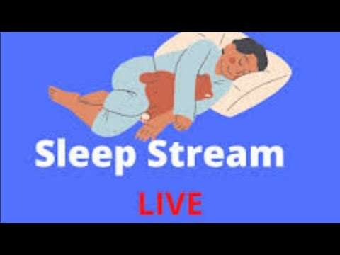 LIVE : G7 Sleep Stream