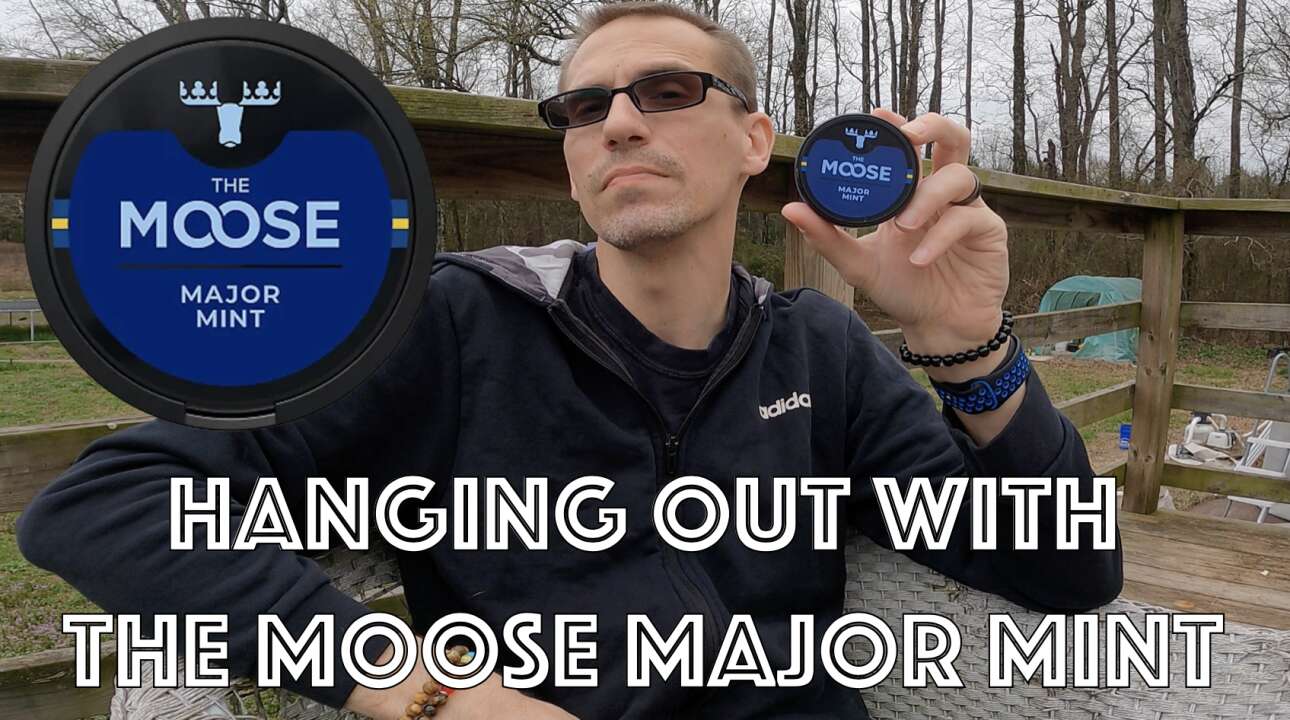 Hanging out with The Moose Major Mint (Snus Review)