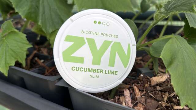 Zyn Cucumber Lime (Nicotine Pouches) Review