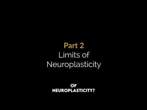 what are the limits of neuroplasticity