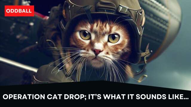 Operation Cat Drop; It’s What it Sounds Like…