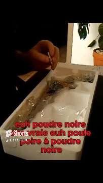 Vous Avez La Quantité De Poudre Nécessaire Pour La Mettre Dans Le Barillet #poudrenoire  #survival