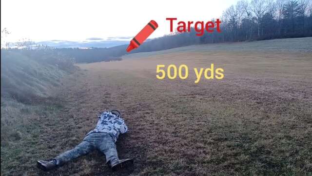 AR-10 Palmetto... 400 and 500 yds with Red Dot