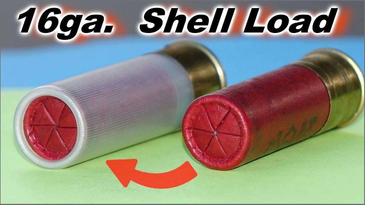 16ga. Paper Shell shot from a 12ga. Shotgun