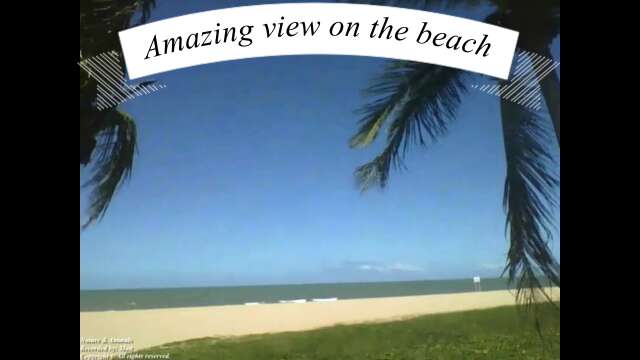 Amazing view on the beach from the side of two coconut trees [Nature & Animals]