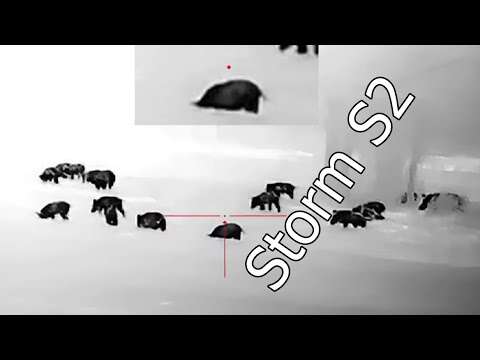 RIX Optics' Storm S2 & S3, Unboxing & 1st Hogs