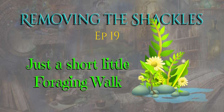 A Little Bit of Foraging: Removing the Shackles