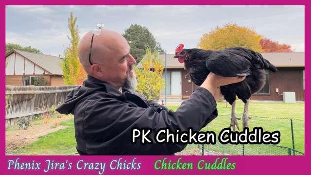Chicken Cuddles with Parkour Chick & Family