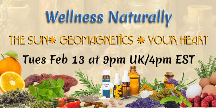 Wellness Naturally: The Sun, Geomagnetics & Your Health
