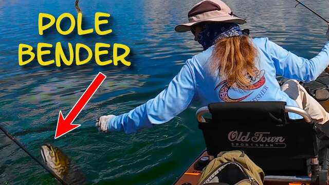 Fall Transition | Kayak Bass Fishing Bull Shoals Lake