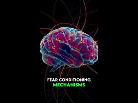 Fear conditioning mechanisms