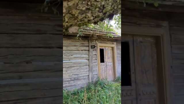Drewniany Domek pod Jabłonią #explore #shortvideo #urbanexploration