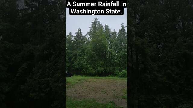 A #summer #rainfall in #washington #state, #usa #asmr #asmrsounds
