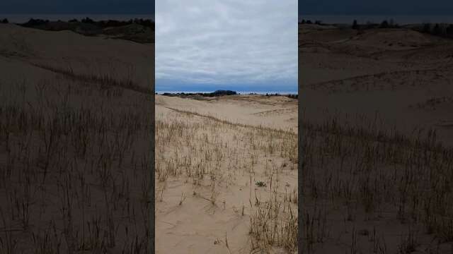 Silver Lake Sand Dunes #lakemichigan