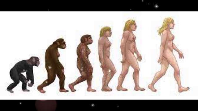 Pourquoi Neandertal ne pouvait pas survivre face aux Sapiens ?