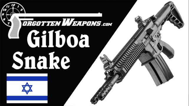Gilboa Snake: Is the Double-AR Really so Dumb?