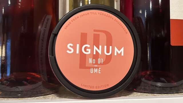LD Signum Ume (Snus) Review