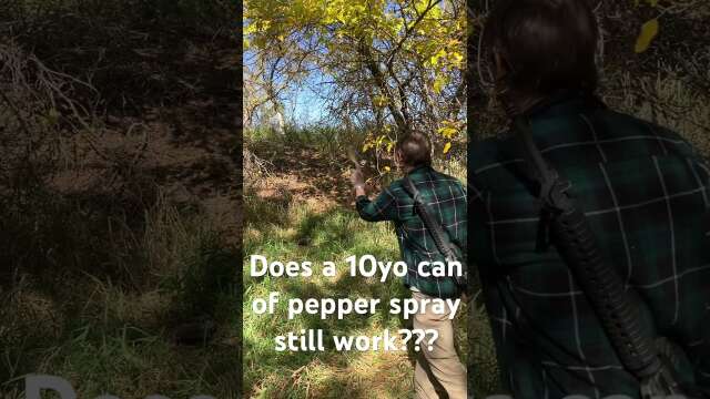 Does a 10yo Can of Pepper Spray Still Work?