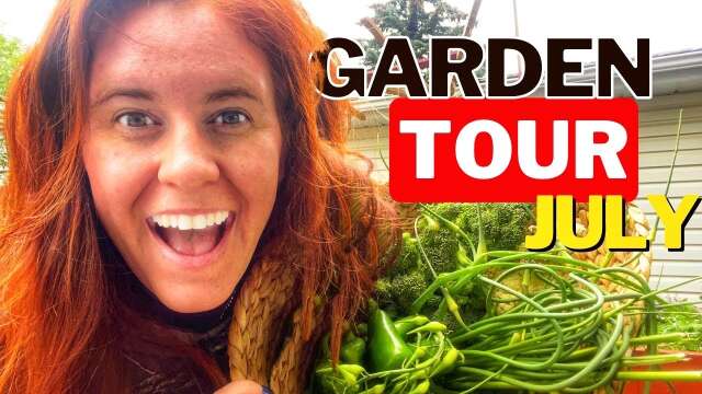 July Garden Tour! Cold Climate Garden