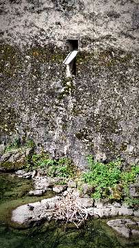Chnebelschiissi AVA-INFO