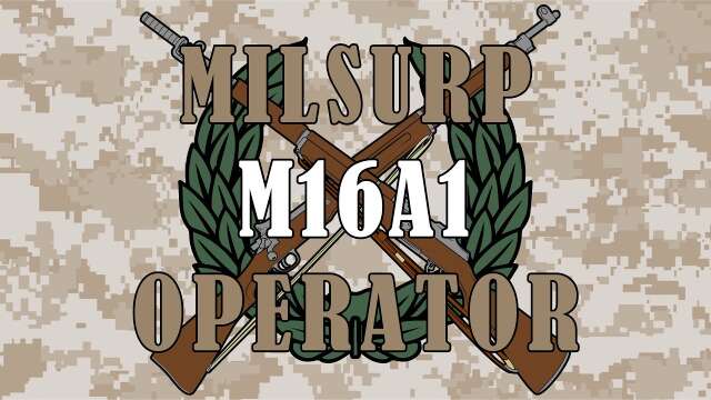 Milsurp Operator: US M16A1