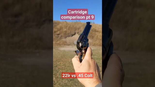 Cartridge comparison pt 9: 22lr vs .45 Colt