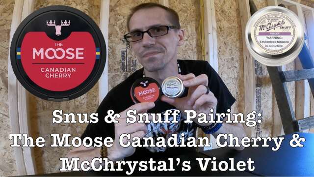 The Moose Canadian Cherry (Snus Review & Snuff Pairing)