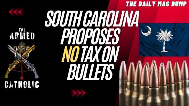 Understanding the Push to Remove Sales Tax on Certain Ammunition In South Carolina!