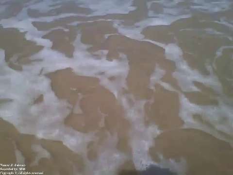 Stepping on the beach sand and receiving the sea foam on feet, amazing sensation! [Nature & Animals]