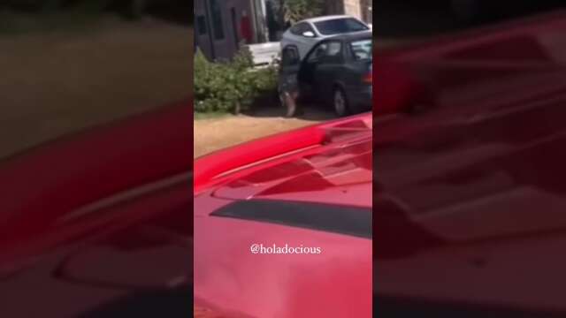 Monkeys Steal From Car