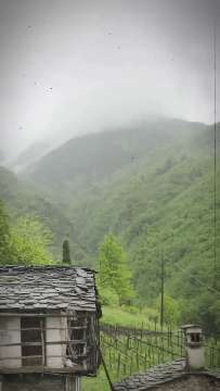 Nebel AVA-INFO