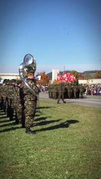 Fahnendetachement Fähnrich Fahnenwachen Standarten AVA-INFO